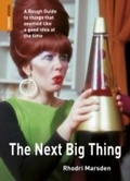 Cover: Next Big Thing - Rough Guides Ltd