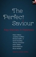 Cover: Perfect Saviour - Inter-Varsity Press