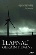 Cover: Llafnau - Y Lolfa