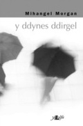 Cover: Y Ddynes Ddirgel - Y Lolfa