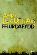 Cover: Awr Y Locustiaid - Y Lolfa