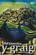Cover: Y Graig - Y Lolfa