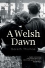 Cover: Welsh Dawn - Y Lolfa