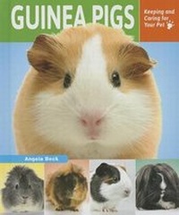 Enlarge image Cover: Guinea Pigs - Enslow Publishing