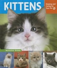 Enlarge image Cover: Kittens - Enslow Publishing