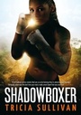 Cover: Shadowboxer - Ravenstone