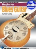 Cover: Blues Guitar Lessons for Beginners - LearnToPlayMusic.com