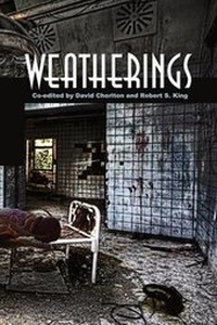 Enlarge image Cover: Weatherings - Futurecycle Press