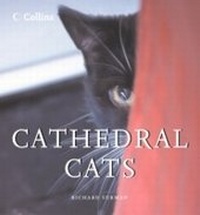 Abbildung von: Cathedral Cats - Collins