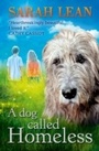 Cover: A Dog Called Homeless - HarperCollins