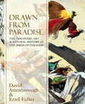 Cover: Drawn From Paradise - Collins
