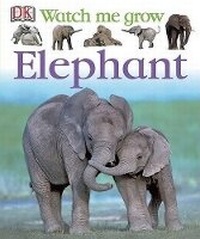 Enlarge image Cover: Elephant - DK Publishing (Dorling Kindersley)