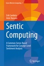 Cover: Sentic Computing - Springer