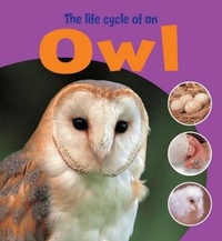 Enlarge image Cover: Learning About Life Cycles: The Life Cycle of an Owl - Wayland