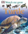 Cover: Turtle - DK Publishing (Dorling Kindersley)