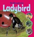 Cover: Learning About Life Cycles: The Life Cycle of a Ladybird - Wayland