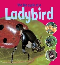 Enlarge image Cover: Learning About Life Cycles: The Life Cycle of a Ladybird - Wayland
