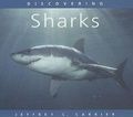 Cover: Discovering Sharks - Voyageur Press
