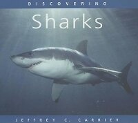 Enlarge image Cover: Discovering Sharks - Voyageur Press