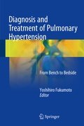 Bild: Diagnosis and Treatment of Pulmonary Hypertension - Springer