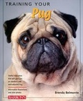 Cover: Training Your Pug - Barron's Educational Series Inc.,U.S.