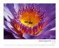 Cover: Kalender "Wassergarten 2016" - Tetra