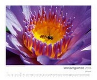 Enlarge image Cover: Kalender "Wassergarten 2016" - Tetra