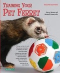 Cover: Training Your Pet Ferret - Barron's Educational Series Inc.,U.S.