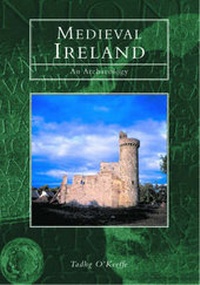 Enlarge image Cover: Medieval Ireland - NPI Media Group