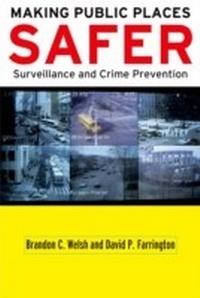 Enlarge image Cover: Making Public Places Safer - OUP eBook