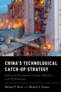 Enlarge image Cover: China's Technological Catch-Up Strategy - OUP eBook
