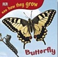 Cover: Butterfly with Sticker - Dorling Kindersley Australia