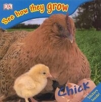 Enlarge image Cover: Chick - DK Publishing (Dorling Kindersley)