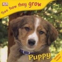 Enlarge image Cover: Puppy - DK Publishing (Dorling Kindersley)