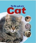 Cover: Learning About Life Cycles: The Life Cycle of A Cat - Wayland