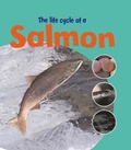 Cover: Learning About Life Cycles: The Life Of A Salmon - Wayland