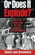 Cover: "Or Does It Explode?" - OUP eBook