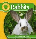 Cover: Rabbit - Wayland