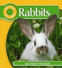 Enlarge image Cover: Rabbit - Wayland