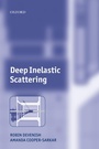Cover: Deep Inelastic Scattering - OUP eBook
