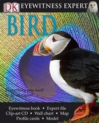Enlarge image Cover: Bird - DK Publishing (Dorling Kindersley)