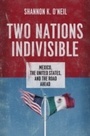 Cover: Two Nations Indivisible - OUP eBook
