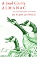 Cover: A Sand County Almanac - OUP eBook