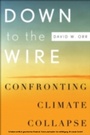 Cover: Down to the Wire - OUP eBook