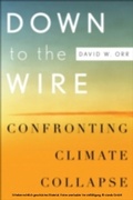 Abbildung von: Down to the Wire - OUP eBook