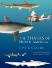 Abbildung von: The Sharks of North America - OUP eBook