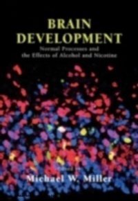 Abbildung von: Brain Development - OUP USA
