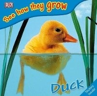 Enlarge image Cover: See How They Grow: Duck - DK Publishing (Dorling Kindersley)