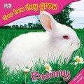 Cover: See How They Grow: Bunny - DK Publishing (Dorling Kindersley)