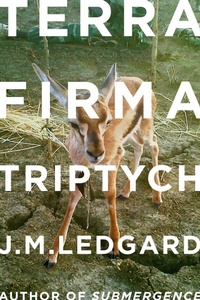 Enlarge image Cover: Terra Firma Triptych - Fsg Originals